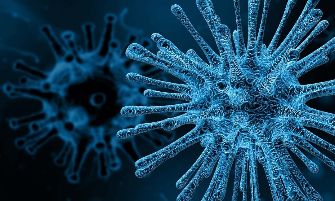 ¿Qué son los ‘virus de guardería’?